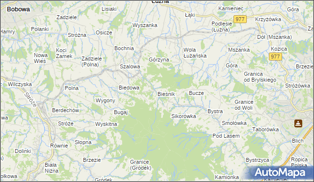mapa Bieśnik gmina Łużna, Bieśnik gmina Łużna na mapie Targeo