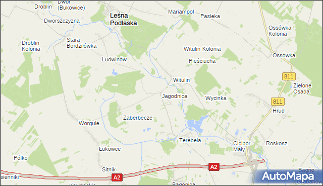 mapa Jagodnica gmina Leśna Podlaska, Jagodnica gmina Leśna Podlaska na mapie Targeo