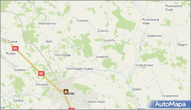 mapa Koleśniki gmina Mońki, Koleśniki gmina Mońki na mapie Targeo