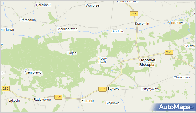 mapa Nowy Dwór gmina Dąbrowa Biskupia, Nowy Dwór gmina Dąbrowa Biskupia na mapie Targeo