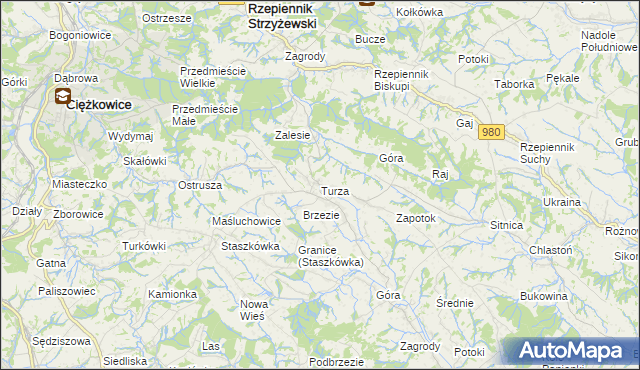 mapa Turza gmina Rzepiennik Strzyżewski, Turza gmina Rzepiennik Strzyżewski na mapie Targeo