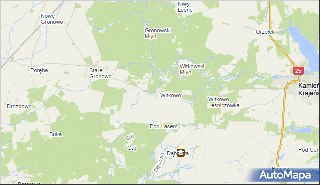 mapa Witkowo gmina Kamień Krajeński, Witkowo gmina Kamień Krajeński na mapie Targeo