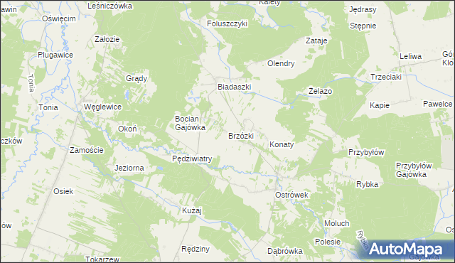 mapa Brzózki gmina Galewice, Brzózki gmina Galewice na mapie Targeo