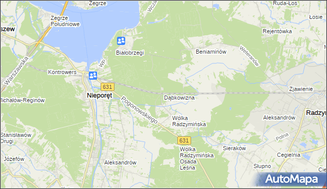 mapa Dąbkowizna, Dąbkowizna na mapie Targeo