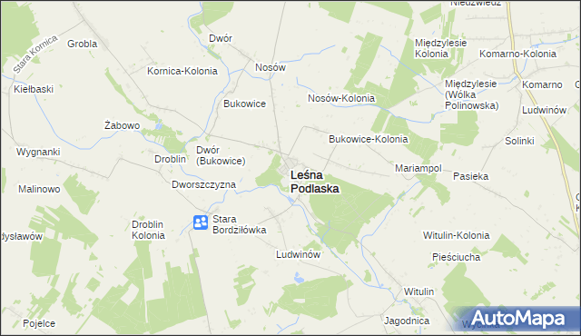 mapa Leśna Podlaska, Leśna Podlaska na mapie Targeo