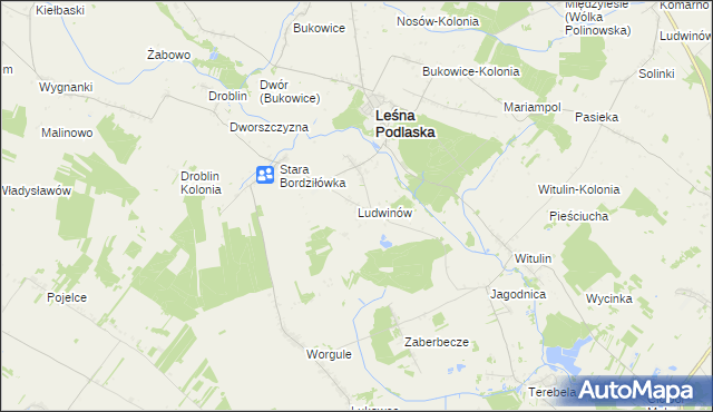mapa Ludwinów gmina Leśna Podlaska, Ludwinów gmina Leśna Podlaska na mapie Targeo