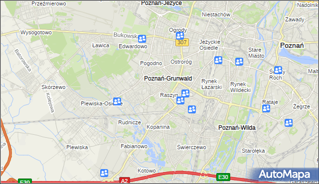 mapa Raszyn gmina Poznań, Raszyn gmina Poznań na mapie Targeo