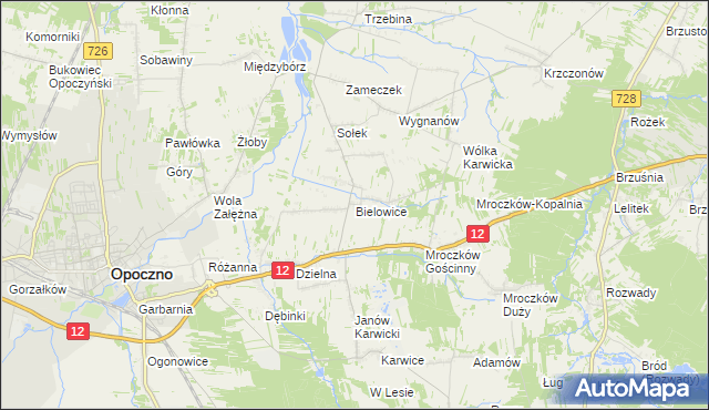 mapa Bielowice gmina Opoczno, Bielowice gmina Opoczno na mapie Targeo