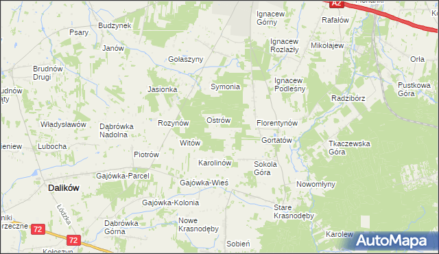 mapa Włodzimierzów gmina Dalików, Włodzimierzów gmina Dalików na mapie Targeo