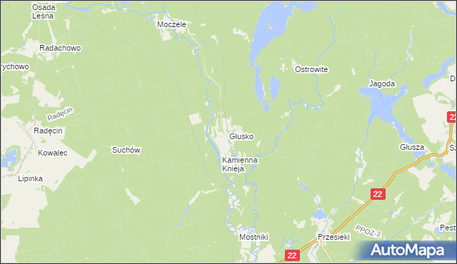 mapa Głusko, Głusko na mapie Targeo