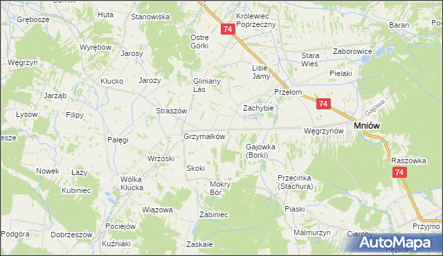 mapa Borki gmina Mniów, Borki gmina Mniów na mapie Targeo