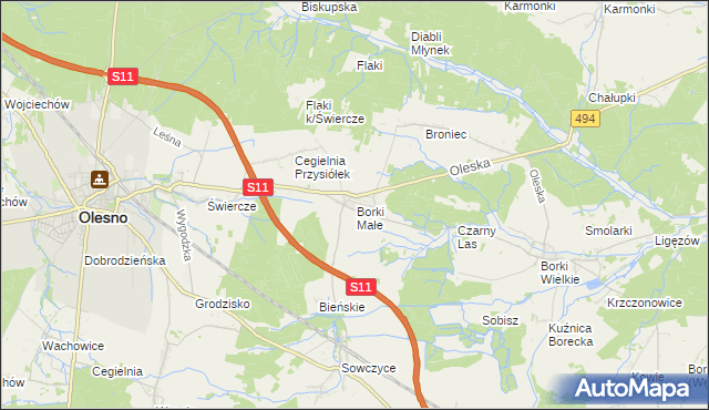 mapa Borki Małe gmina Olesno, Borki Małe gmina Olesno na mapie Targeo