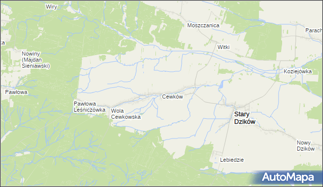 mapa Cewków, Cewków na mapie Targeo