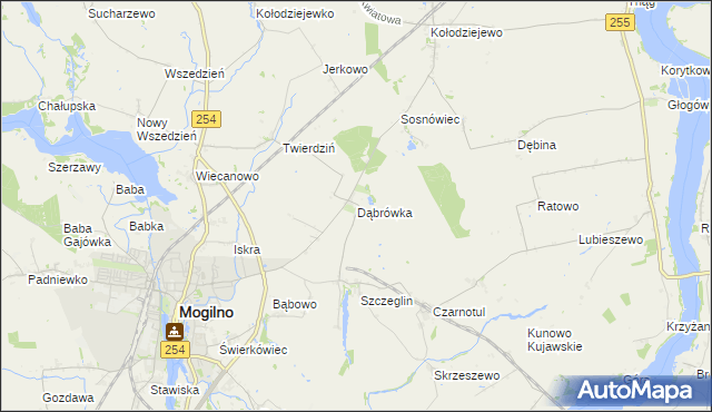 mapa Dąbrówka gmina Mogilno, Dąbrówka gmina Mogilno na mapie Targeo