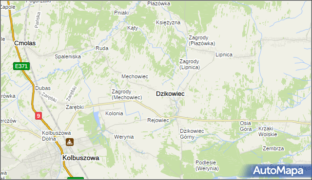 mapa Dzikowiec powiat kolbuszowski, Dzikowiec powiat kolbuszowski na mapie Targeo
