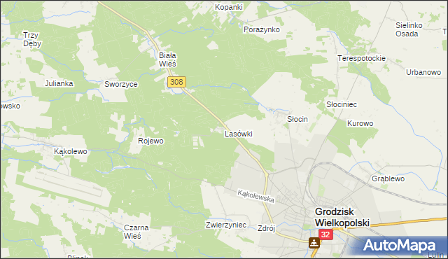 mapa Lasówki gmina Grodzisk Wielkopolski, Lasówki gmina Grodzisk Wielkopolski na mapie Targeo