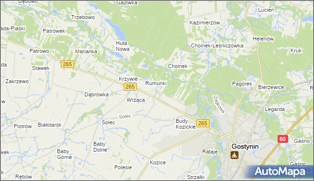 mapa Nagodów gmina Gostynin, Nagodów gmina Gostynin na mapie Targeo