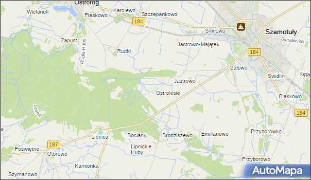 mapa Ostrolesie, Ostrolesie na mapie Targeo