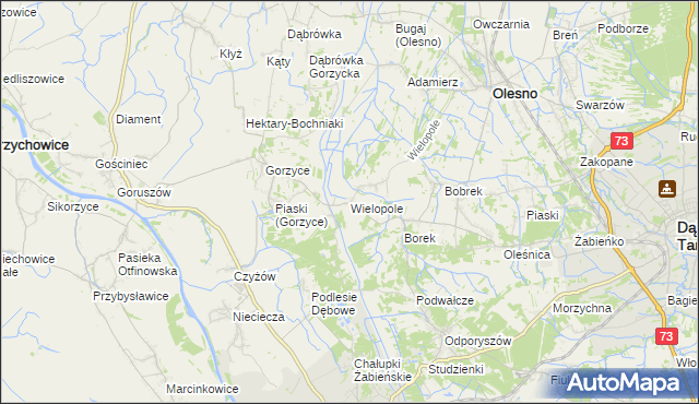 mapa Wielopole gmina Olesno, Wielopole gmina Olesno na mapie Targeo