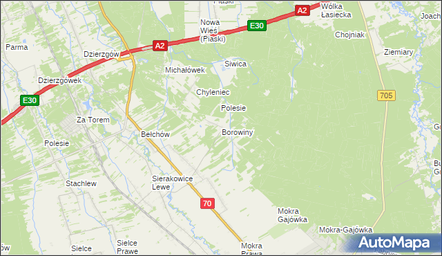 mapa Borowiny gmina Skierniewice, Borowiny gmina Skierniewice na mapie Targeo