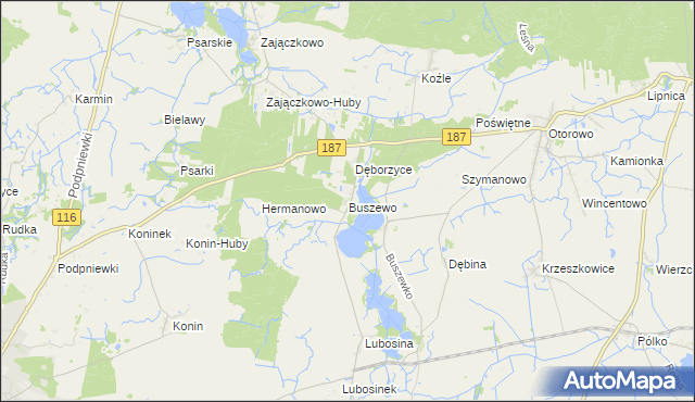 mapa Buszewo gmina Pniewy, Buszewo gmina Pniewy na mapie Targeo