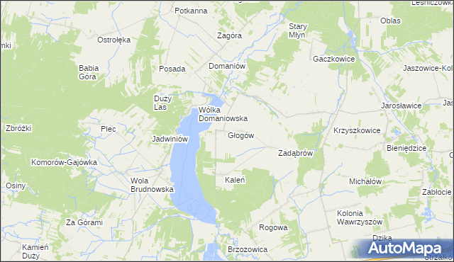 mapa Głogów gmina Wieniawa, Głogów gmina Wieniawa na mapie Targeo