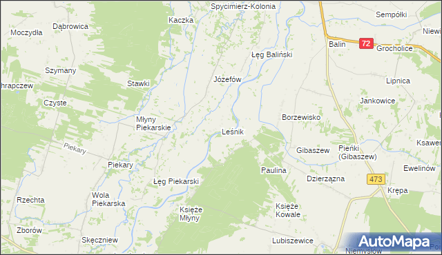 mapa Leśnik gmina Poddębice, Leśnik gmina Poddębice na mapie Targeo