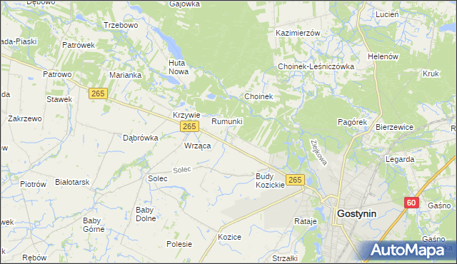 mapa Nagodów gmina Gostynin, Nagodów gmina Gostynin na mapie Targeo