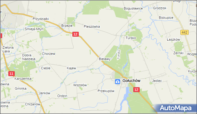 mapa Bielawy gmina Gołuchów, Bielawy gmina Gołuchów na mapie Targeo