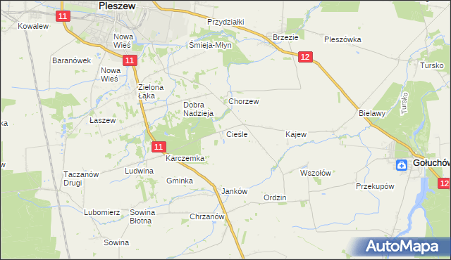 mapa Cieśle gmina Gołuchów, Cieśle gmina Gołuchów na mapie Targeo