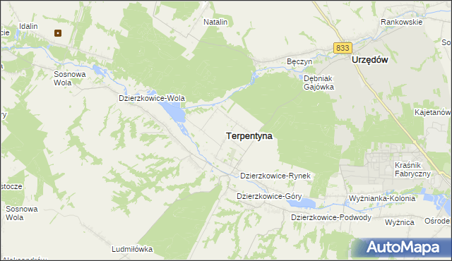 mapa Terpentyna, Terpentyna na mapie Targeo