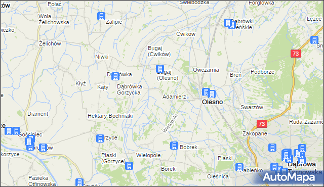 mapa Adamierz gmina Olesno, Adamierz gmina Olesno na mapie Targeo