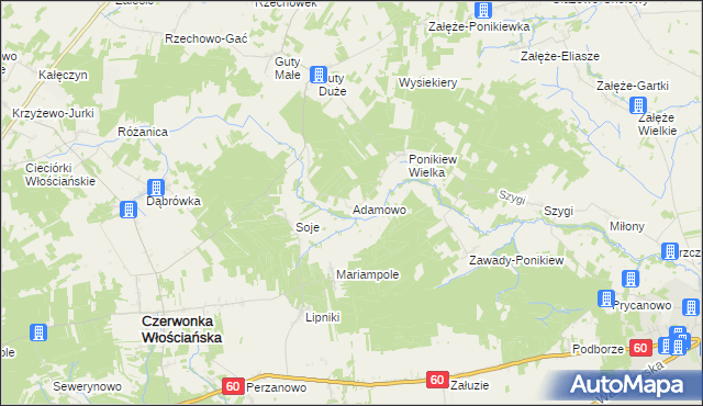 mapa Adamowo gmina Czerwonka, Adamowo gmina Czerwonka na mapie Targeo
