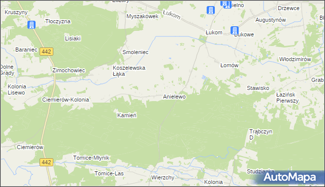 mapa Anielewo gmina Zagórów, Anielewo gmina Zagórów na mapie Targeo