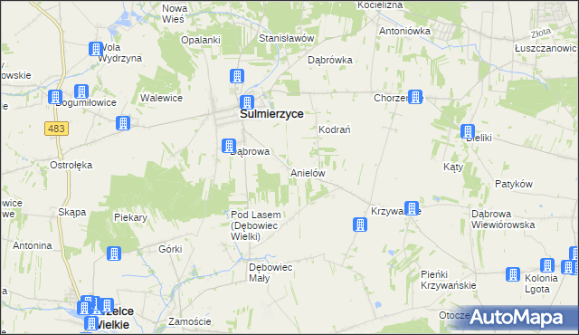 mapa Anielów gmina Sulmierzyce, Anielów gmina Sulmierzyce na mapie Targeo