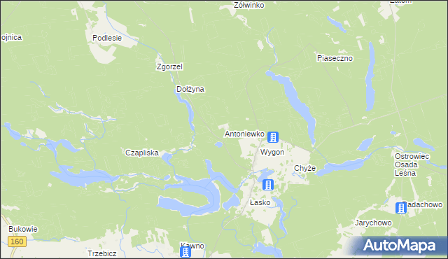 mapa Antoniewko, Antoniewko na mapie Targeo