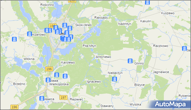 mapa Antoniewo gmina Skoki, Antoniewo gmina Skoki na mapie Targeo