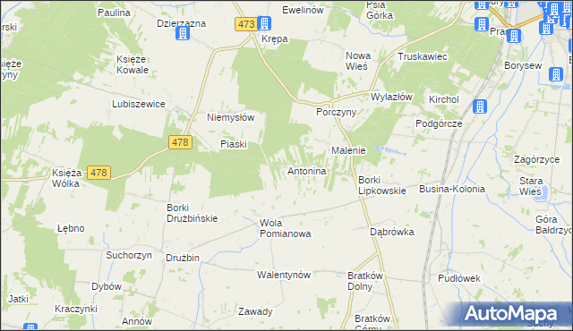 mapa Antonina gmina Poddębice, Antonina gmina Poddębice na mapie Targeo