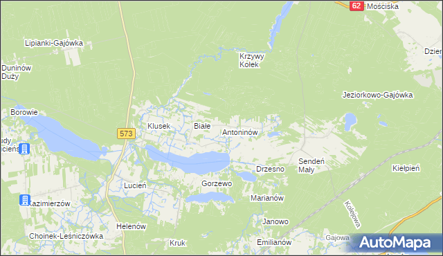 mapa Antoninów gmina Gostynin, Antoninów gmina Gostynin na mapie Targeo