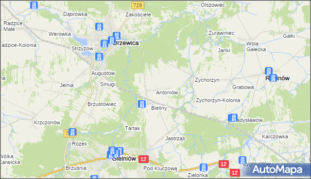 mapa Antoniów gmina Gielniów, Antoniów gmina Gielniów na mapie Targeo