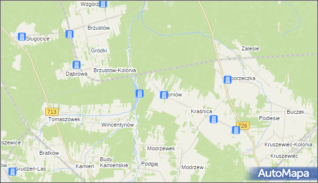 mapa Antoniów gmina Opoczno, Antoniów gmina Opoczno na mapie Targeo