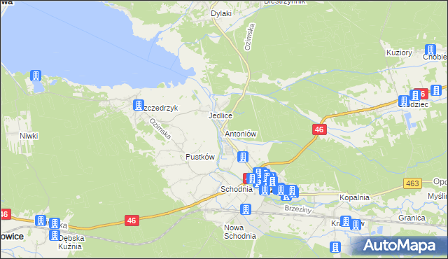 mapa Antoniów gmina Ozimek, Antoniów gmina Ozimek na mapie Targeo
