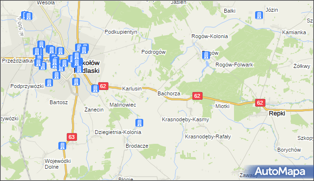 mapa Bachorza gmina Sokołów Podlaski, Bachorza gmina Sokołów Podlaski na mapie Targeo