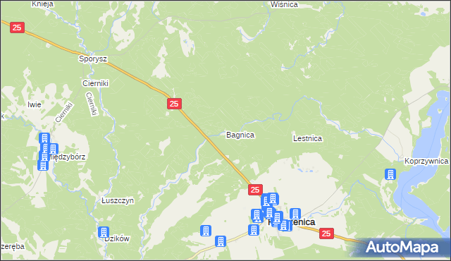 mapa Bagnica gmina Rzeczenica, Bagnica gmina Rzeczenica na mapie Targeo