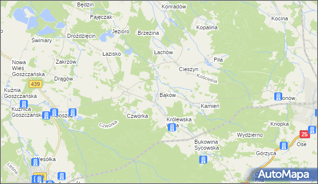 mapa Bąków gmina Międzybórz, Bąków gmina Międzybórz na mapie Targeo