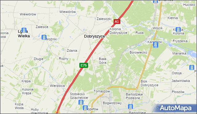 mapa Biała Góra gmina Dobryszyce, Biała Góra gmina Dobryszyce na mapie Targeo