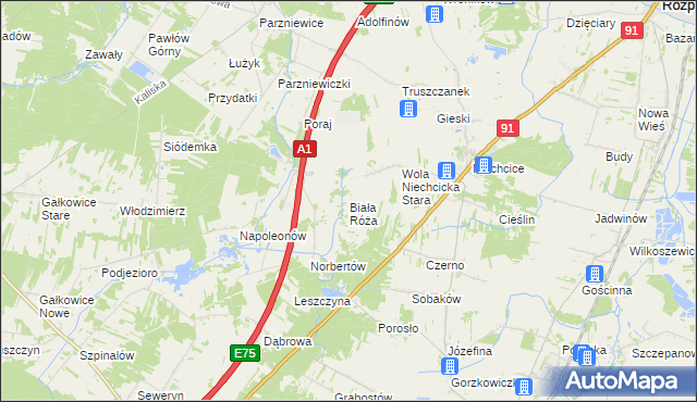 mapa Biała Róża gmina Rozprza, Biała Róża gmina Rozprza na mapie Targeo