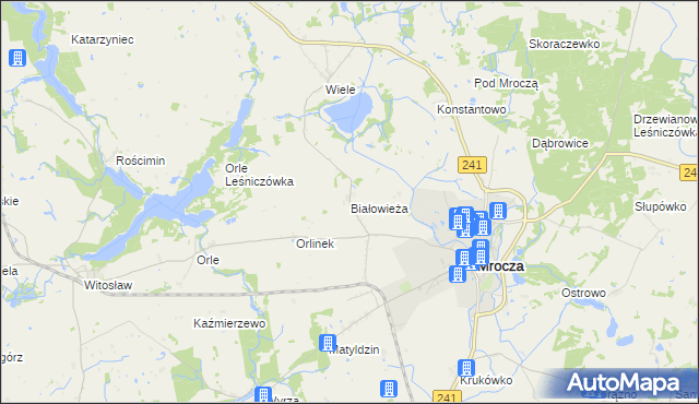 mapa Białowieża gmina Mrocza, Białowieża gmina Mrocza na mapie Targeo