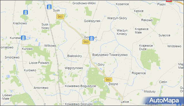 mapa Białyszewo-Towarzystwo, Białyszewo-Towarzystwo na mapie Targeo