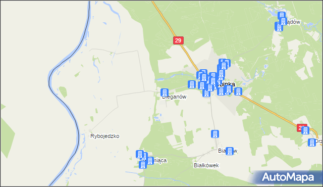 mapa Bieganów gmina Cybinka, Bieganów gmina Cybinka na mapie Targeo